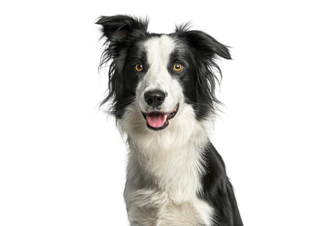 mawnp5i3EJljwwRT7vhD AvZmx7iq7zUTDRqQIRc2EG1uFHntVzZqEHQ cAQ6y9N4e1tghYqjXknxigJbxDZpk8thjZSrhscp YPq19halM