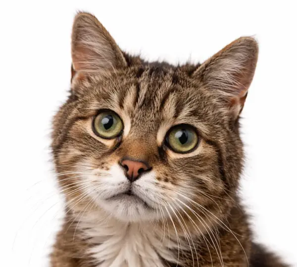 Seniorencheck kat compleet (€ 194,99)