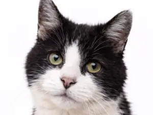 Seniorencheck kat uitgebreid (€ 159,99)